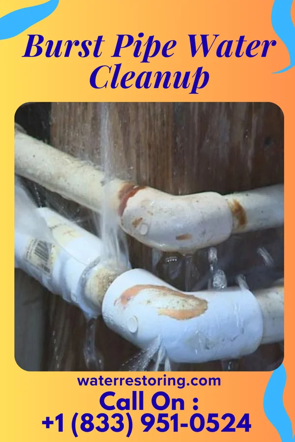 Burst Pipe Water Cleanup in Lake McMurray, WA