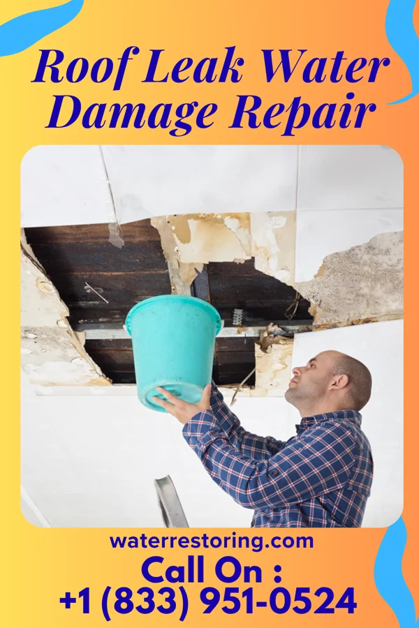 Roof Leak Water Damage Repair in Lake McMurray, WA